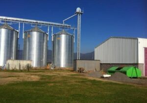 Proyectos Agro-industriales